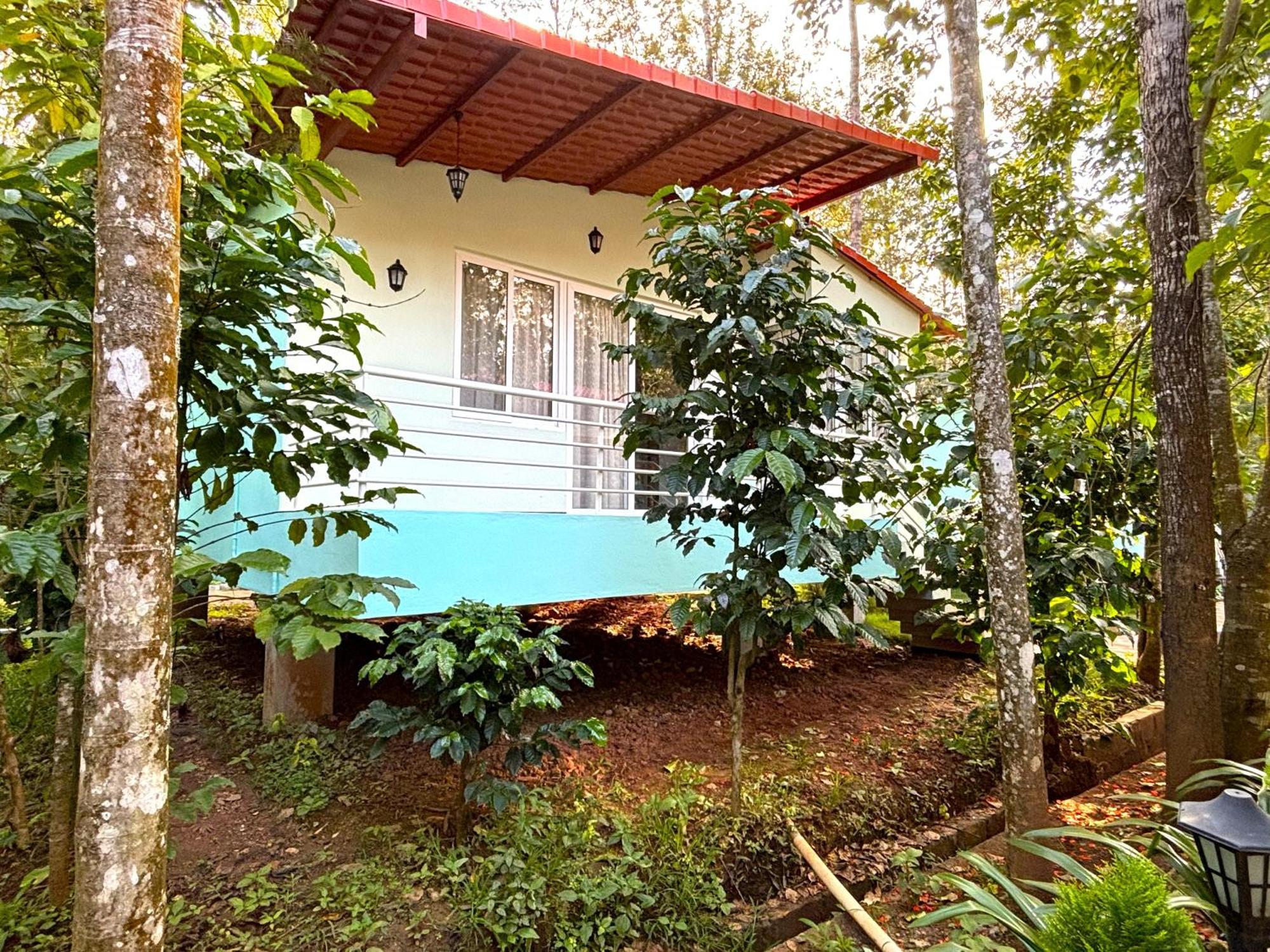 Ecstasy Tent Stay With Swimming Pool & Common Washroom Chikmagalūr Dış mekan fotoğraf